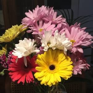 Meet your Posher, Maxwell